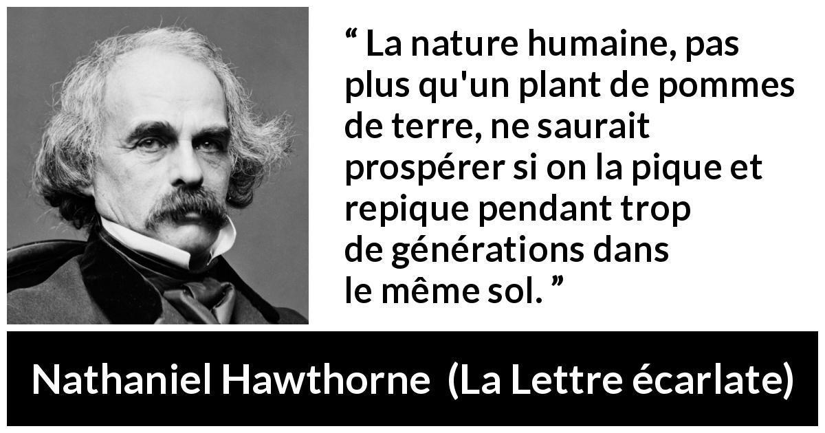 Responsabilité Sociale des Entreprises (RSE) : 